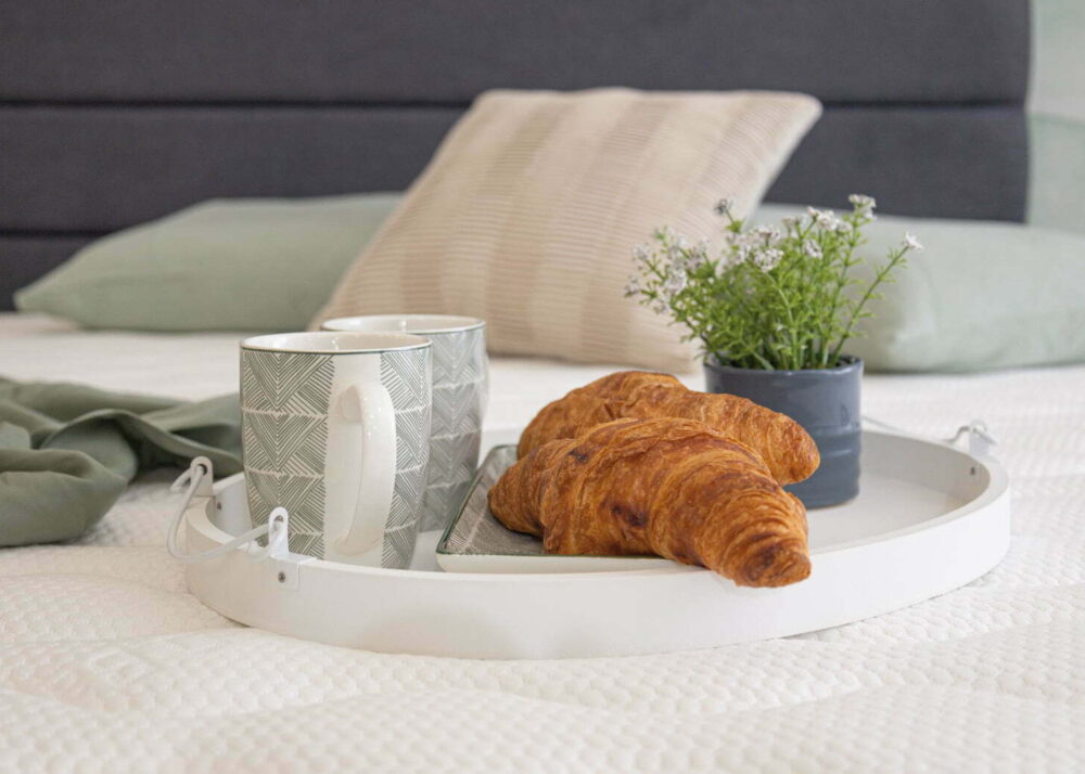 еднолицев матрак FAVOURITE NOVA TED от магазин за матраци Vidov commerce