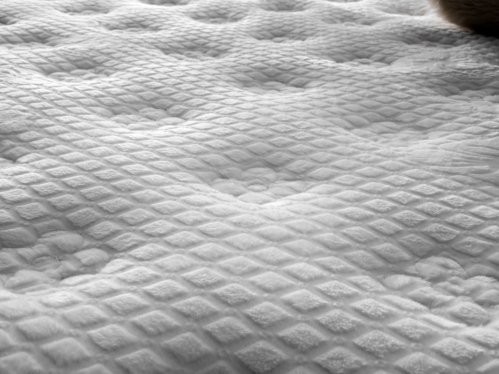 Тапицирано легло Puffi с матрак Puffi white - Image 8